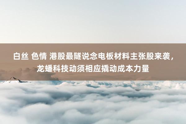白丝 色情 港股最隧说念电板材料主张股来袭，龙蟠科技动须相应撬动成本力量