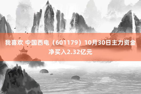 我喜欢 中国西电(601179)10月30日主力资金净买入2.32亿元