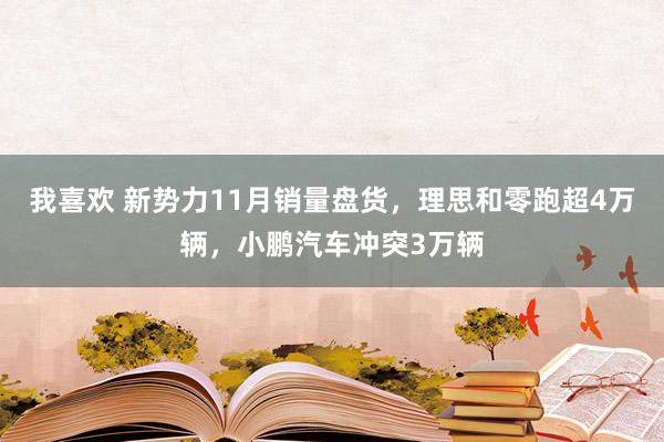 我喜欢 新势力11月销量盘货，理思和零跑超4万辆，小鹏汽车冲突3万辆