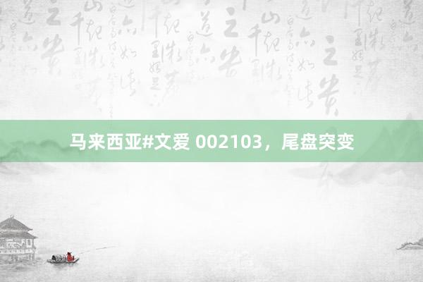 马来西亚#文爱 002103，尾盘突变