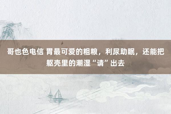 哥也色电信 胃最可爱的粗粮，利尿助眠，还能把躯壳里的潮湿“请”出去