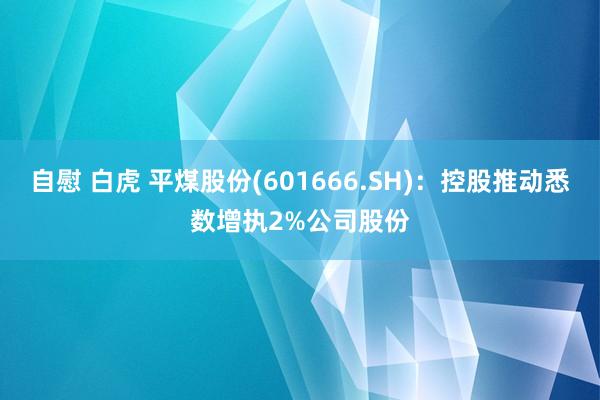 自慰 白虎 平煤股份(601666.SH)：控股推动悉数增执2%公司股份