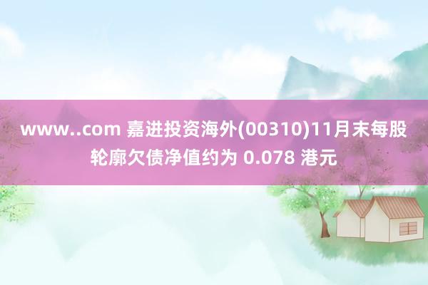 www..com 嘉进投资海外(00310)11月末每股轮廓欠债净值约为 0.078 港元