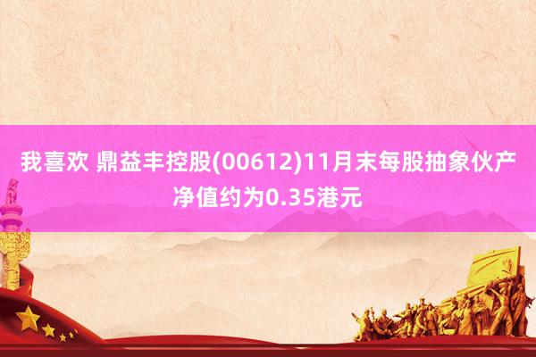 我喜欢 鼎益丰控股(00612)11月末每股抽象伙产净值约为0.35港元