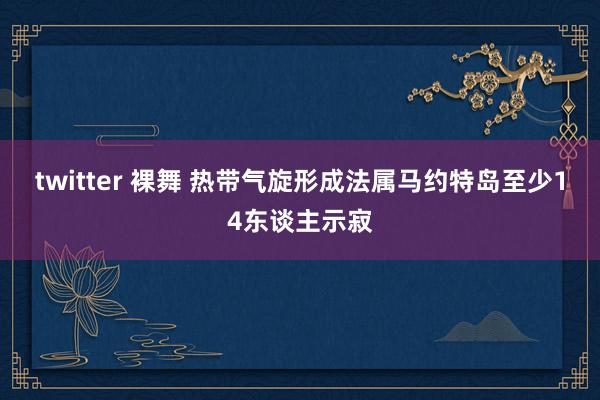 twitter 裸舞 热带气旋形成法属马约特岛至少14东谈主示寂