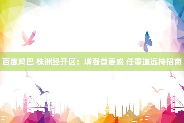 百度鸡巴 株洲经开区:增强首要感 任重道远持招商