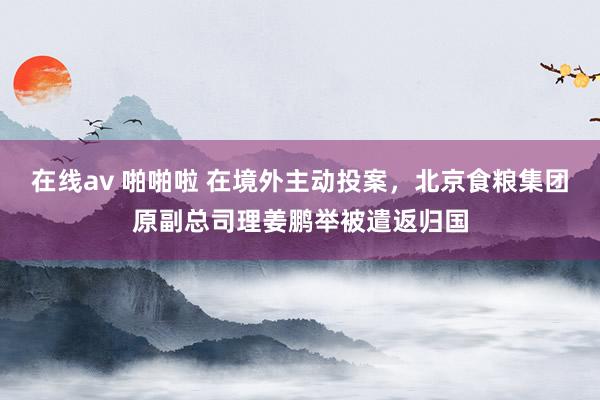 在线av 啪啪啦 在境外主动投案，北京食粮集团原副总司理姜鹏举被遣返归国