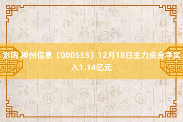 影院 神州信息（000555）12月18日主力资金净买入1.14亿元