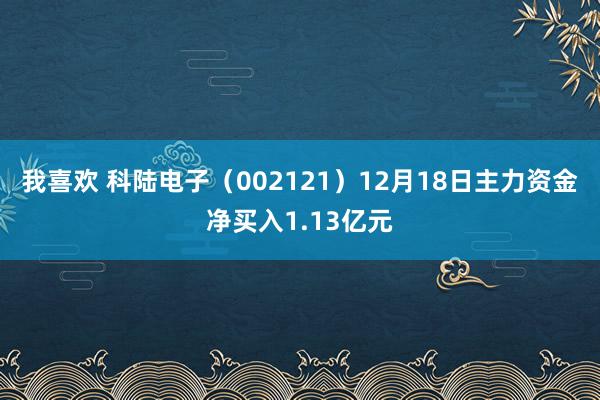 我喜欢 科陆电子（002121）12月18日主力资金净买入1.13亿元