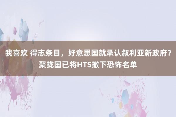 我喜欢 得志条目，好意思国就承认叙利亚新政府？聚拢国已将HTS撤下恐怖名单