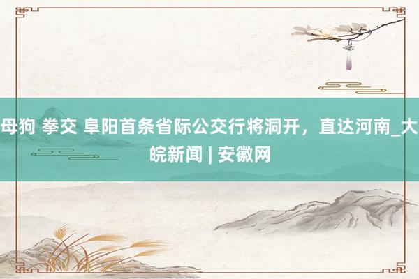 母狗 拳交 阜阳首条省际公交行将洞开，直达河南_大皖新闻 | 安徽网