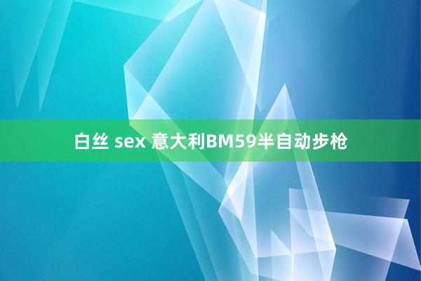 白丝 sex 意大利BM59半自动步枪