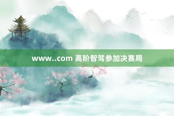 www..com 高阶智驾参加决赛局