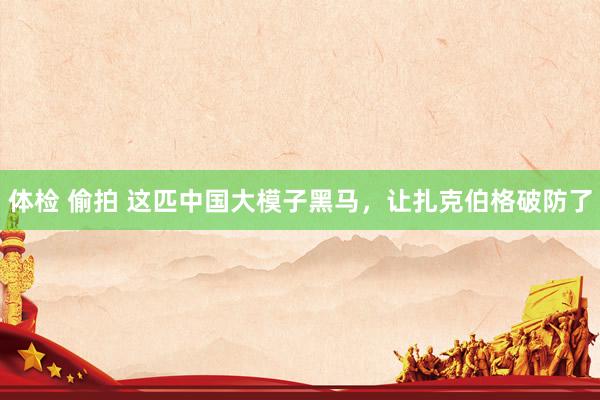 体检 偷拍 这匹中国大模子黑马，让扎克伯格破防了