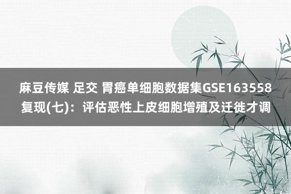 麻豆传媒 足交 胃癌单细胞数据集GSE163558复现(七)：评估恶性上皮细胞增殖及迁徙才调