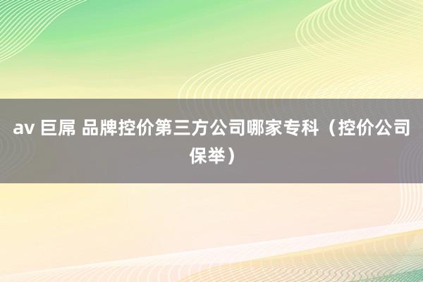av 巨屌 品牌控价第三方公司哪家专科（控价公司保举）