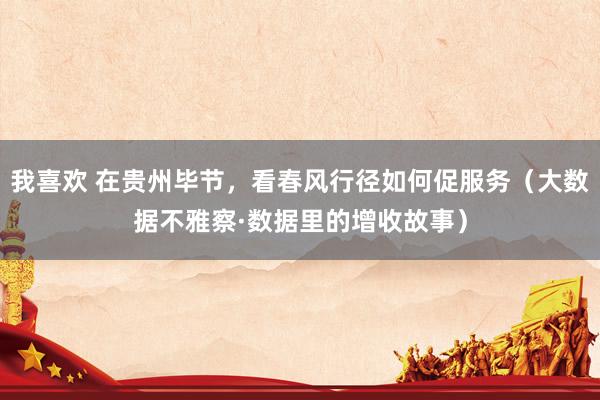 我喜欢 在贵州毕节，看春风行径如何促服务（大数据不雅察·数据里的增收故事）