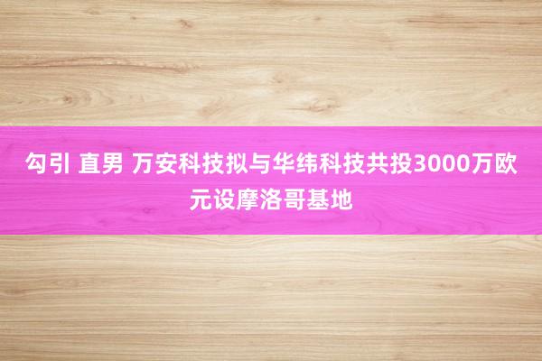 勾引 直男 万安科技拟与华纬科技共投3000万欧元设摩洛哥基地