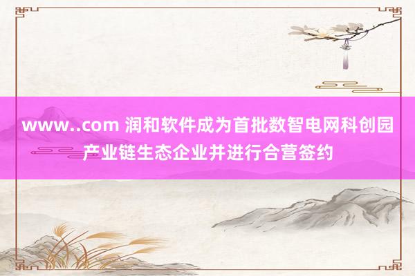 www..com 润和软件成为首批数智电网科创园产业链生态企业并进行合营签约