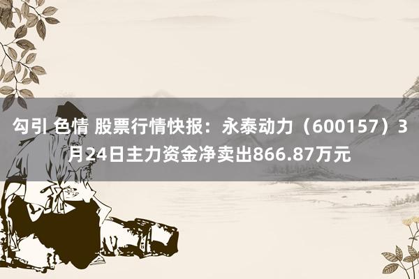 勾引 色情 股票行情快报：永泰动力（600157）3月24日主力资金净卖出866.87万元