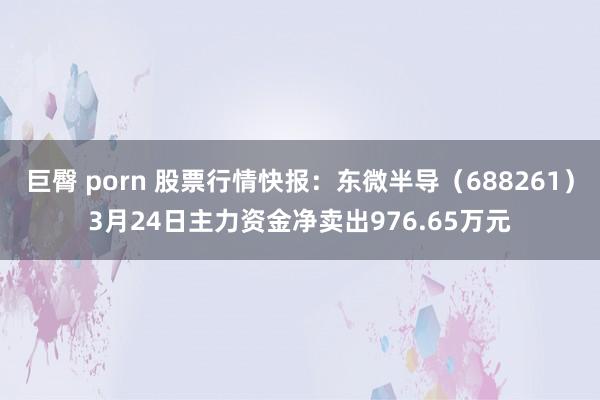 巨臀 porn 股票行情快报：东微半导（688261）3月24日主力资金净卖出976.65万元