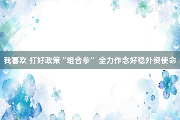 我喜欢 打好政策“组合拳” 全力作念好稳外资使命