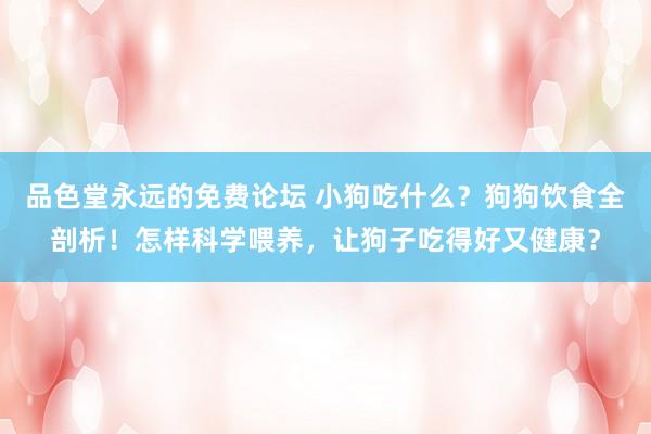 品色堂永远的免费论坛 小狗吃什么？狗狗饮食全剖析！怎样科学喂养，让狗子吃得好又健康？