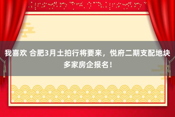 我喜欢 合肥3月土拍行将要来，悦府二期支配地块多家房企报名！
