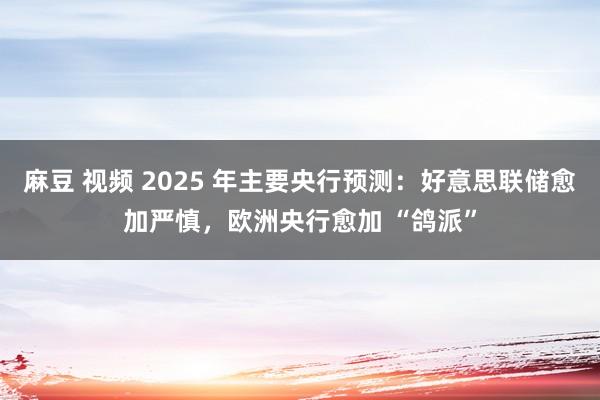 麻豆 视频 2025 年主要央行预测：好意思联储愈加严慎，欧洲央行愈加 “鸽派”
