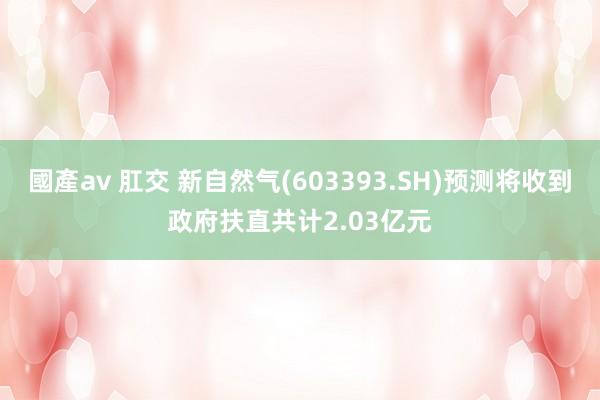 國產av 肛交 新自然气(603393.SH)预测将收到政府扶直共计2.03亿元