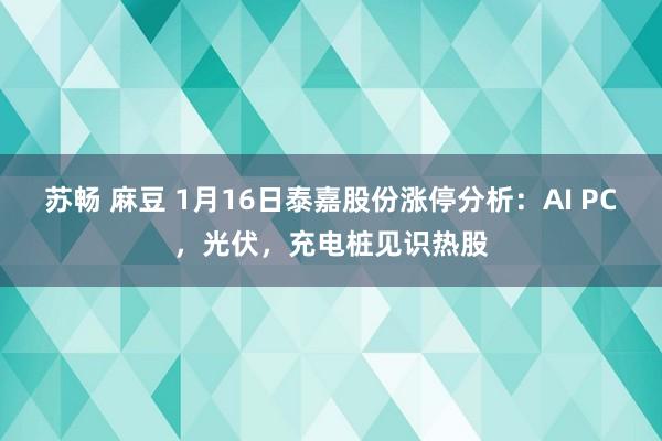 苏畅 麻豆 1月16日泰嘉股份涨停分析：AI PC，光伏，充电桩见识热股