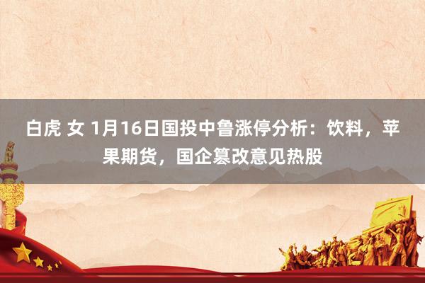 白虎 女 1月16日国投中鲁涨停分析:饮料,苹果期货,国企篡改意见热股