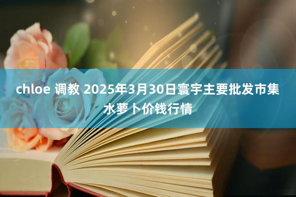 chloe 调教 2025年3月30日寰宇主要批发市集水萝卜价钱行情