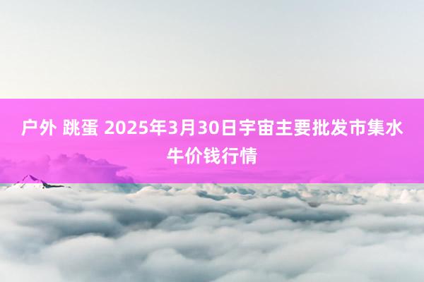 户外 跳蛋 2025年3月30日宇宙主要批发市集水牛价钱行情