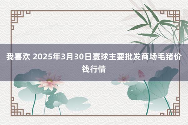 我喜欢 2025年3月30日寰球主要批发商场毛猪价钱行情