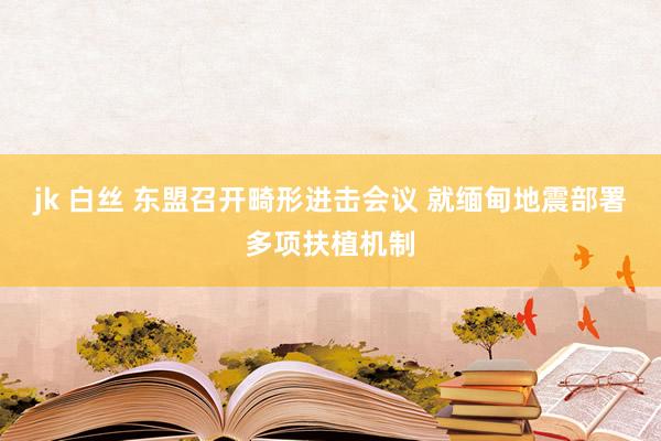 jk 白丝 东盟召开畸形进击会议 就缅甸地震部署多项扶植机制