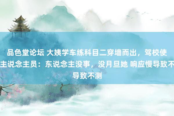 品色堂论坛 大姨学车练科目二穿墙而出，驾校使命主说念主员：东说念主没事，没月旦她 响应慢导致不测