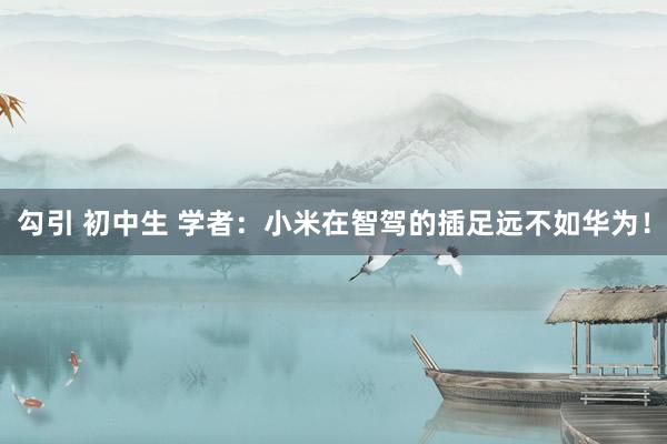 勾引 初中生 学者：小米在智驾的插足远不如华为！