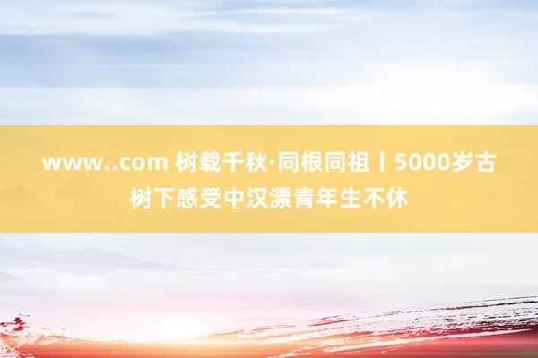 www..com 树载千秋·同根同祖丨5000岁古树下感受中汉漂青年生不休