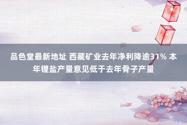 品色堂最新地址 西藏矿业去年净利降逾31% 本年锂盐产量意见低于去年骨子产量