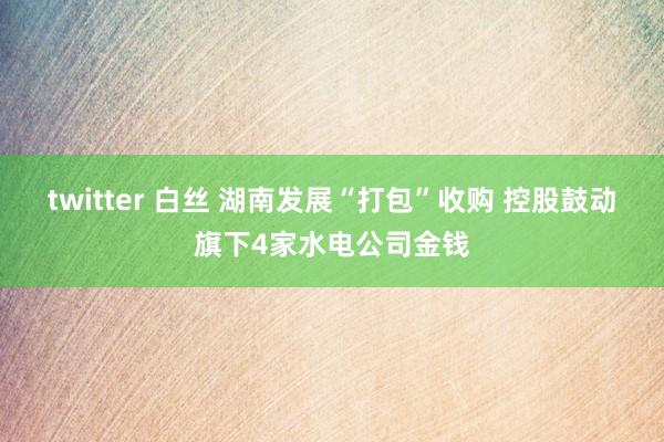 twitter 白丝 湖南发展“打包”收购 控股鼓动旗下4家水电公司金钱