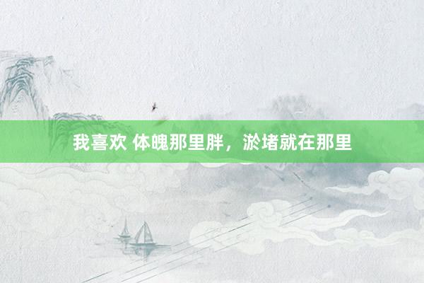 我喜欢 体魄那里胖，淤堵就在那里