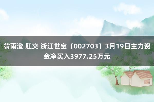 翁雨澄 肛交 浙江世宝（002703）3月19日主力资金净买入3977.25万元