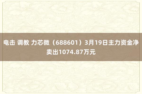 电击 调教 力芯微（688601）3月19日主力资金净卖出1074.87万元