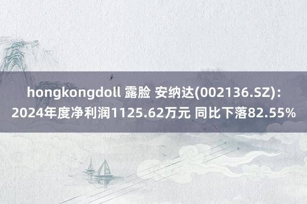 hongkongdoll 露脸 安纳达(002136.SZ)：2024年度净利润1125.62万元 同比下落82.55%