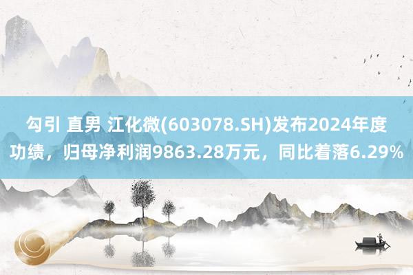 勾引 直男 江化微(603078.SH)发布2024年度功绩，归母净利润9863.28万元，同比着落6.29%