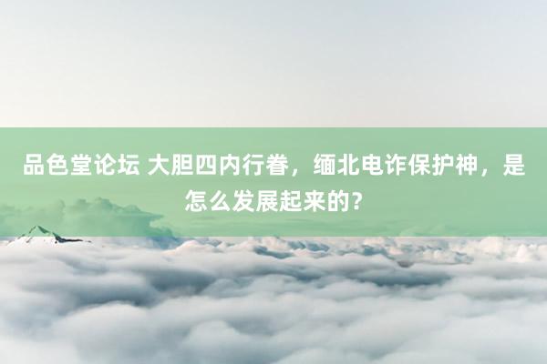 品色堂论坛 大胆四内行眷，缅北电诈保护神，是怎么发展起来的？