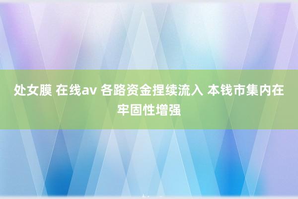 处女膜 在线av 各路资金捏续流入 本钱市集内在牢固性增强
