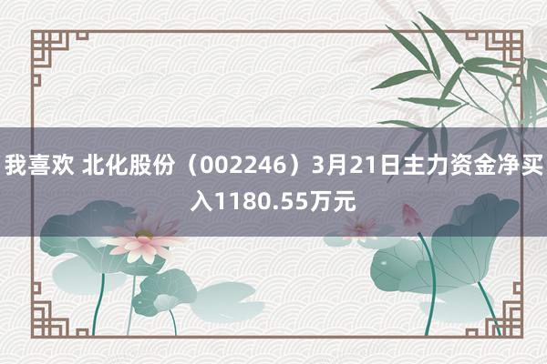 我喜欢 北化股份（002246）3月21日主力资金净买入1180.55万元