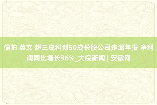 偷拍 英文 超三成科创50成份股公司走漏年报 净利润同比增长36%_大皖新闻 | 安徽网